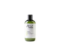 Shampoo Anticaduta Uomo e Donna Energizzante con Rosmarino e Ginseng - Shampo Perdita Capelli Senza Solfati Siliconi Parabeni SLS - Per Lavaggi Frequenti e Capelli Fragili con Cute Sensibile 300 ml.