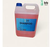 Shampoo auto detergente pulizia auto professionale concentrato detersivo per da