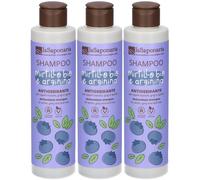 Shampoo Bio Antiossidante 3x200 ml