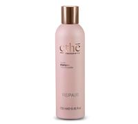 Shampoo Capelli Danneggiati Emsibeth Ethè Repair Ristrutturante 250ml