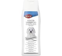 Shampoo Colore