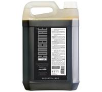 Shampoo concentrato di mandorle Ducastel 5L