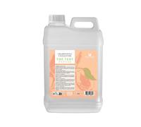 Shampoo concentrato Mandorla Tè verde Papaya Professionale 3L