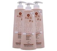 Shampoo HYDRA Per Capelli Secchi, Con Olio Di Argan. Deterge Delicatamente Lasciando i capelli Lucenti, Leggeri e Setosi 500ml (3 Flaconi)