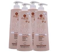 Shampoo HYDRA Per Capelli Secchi, Con Olio Di Argan. Deterge Delicatamente Lasciando i capelli Lucenti, Leggeri e Setosi 500ml (4 Flaconi)