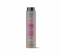 Shampoo Lakmé Teknia Colour Refresh Hair Care Viola Lavanda () 300 ml