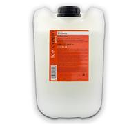 Shampoo Lisciante Per Capelli Crespi INEBRYA Ice Cream Dry-T Shampoo 10L
