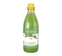 Shampoo Menta IV San Bernard: pulizia profonda e rivitalizzazione 1L