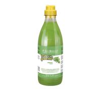 Shampoo Menta IV San Bernard: pulizia profonda e rivitalizzazione 1L