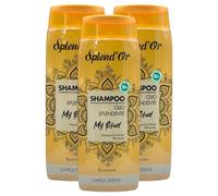 Shampoo OLIO SPLENDENTE My Ritual, Illuminante, Per Capelli Spenti. Dall'Elegante Profumo Dalle Note Calde e Sensuali 300ml (3 Flaconi)