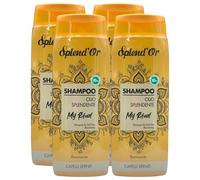 Shampoo OLIO SPLENDENTE My Ritual, Illuminante, Per Capelli Spenti. Dall'Elegante Profumo Dalle Note Calde e Sensuali 300ml (4 Flaconi)