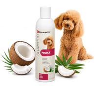 Shampoo per cani - Per Barboncino - Con olio di cocco - Per pelo riccio - Idratante - Lucentezza naturale - pH neutro - Senza parabeni - Prodotto in Europa - 300 ml