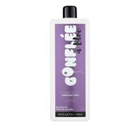 Shampoo per capelli fini Gonflee A Block 1L - Ducastel