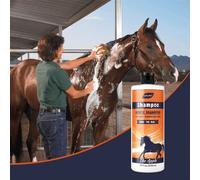 Shampoo per cavalli - Condiziona e idrata il mantello, esalta il colore, dona lucentezza - Per tutti i cavalli e animali domestici, 500ml Tagli UnicaPET