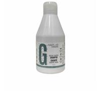 Shampoo Salerm Greasy Hair 300 ml