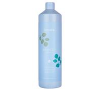 Shampoo sebloregolatore capelli grassi ECHOSLINE Balance Shampoo 1000ml