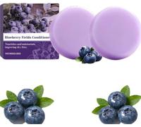 Shampoo solido 2 in 1 "Blueberry Fields" - Shampoo solido naturale volumizzante e idratante - Cura nutriente per capelli più forti e controllo dell'effetto crespo
