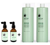 SHAMPOO TEA TREE 1000 ML X2 + LOZIONE 100 ML X 2 KHENZ