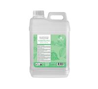 Shampooing concentrato Verbena Detox Fauvert Professionnel 3L