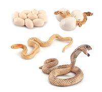 SHANGMAOYO 4 Pezzi Ciclo di Vita Animale Altamente Simulazione,Simulazione Animale Statua Giocattolo Gioco cognitivo di apprendimento precoce dei bambini Decorazioni Regalo (Cobra)