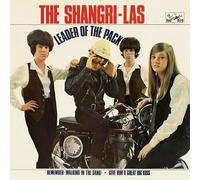 Shangri-Las - Leader Of The Pack