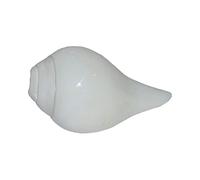 Shankh indiano naturale forte che soffia, grande formato 12,7 cm - buon suono per Pooja, tempio, scopo religioso, rituali tradizionali da collezione indiana