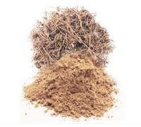 Shankhapushpi Convolvulus Pluricaulis Powder Memory Boost da 60 a 1 kg spediz...