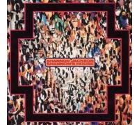 Shannon's House by Jackson, Ronald Shannon (0100-01-01)