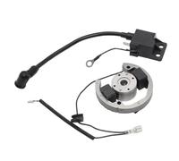SHANSHAN Statore Moto Kit Bobina Accensione Statore Rotore Bobina Accensione Magnete Statore Volano per SX Adventure 50 2003 2004 2005 2006 2007 2008 2009 2010 2011
