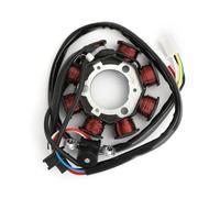 SHANSHAN Statore Moto per TTR50 2006-2020 2007 2008 2009 Bobina Statore Motore Generatore Magneto