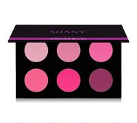 SHANY Shimmer & Matte Cool-Toned Blush Palette - Layer 5 - Refill for the 6 Layer Mini Masterpiece Collection Makeup Set