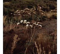 Shaolin Afronauts: The Fundamental Nature Of Being. Part Two [CD]