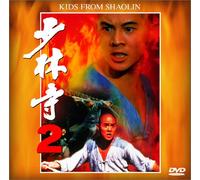 Shaolin Temple 2