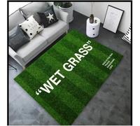 SHAOPENGA Area Tappeto Tappeto Verde Bagnata Tappeto Antiscivolo Danza Peluche Divano Tappeto Decorativo Antimacchia 100X160Cm