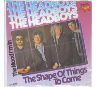 SHAPE OF THINGS TO COME 7" (VINYL 45) GERMAN RSO 1979