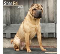 Shar Pei 2025 Square Wall Calendar | Dog Breed Calendar