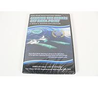 Sharing The Shore Off Dana Point : A Whale & Dolphin Exploration