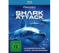 Shark Attack