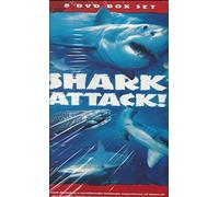 Shark Attack - Shark Attack