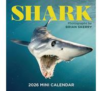 Shark Mini Wall Calendar 2026