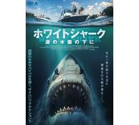 Shark Warning (DVD) Andrew Katers