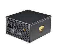Sharkoon Rebel P30 Gold alimentatore per computer 1000 W 20+4 pin ATX ATX Nero