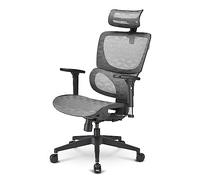 Sharkoon OfficePal C30M (sedia da ufficio, grigio)