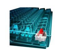 Sharkoon SGK50 S4 60% Cablato USB AZERTY LED RGB Nero 1000 4044951033997