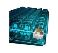 Sharkoon SGK50 S4 60% Cablato USB QWERTY LED RGB Bianco 1000 4044951033904