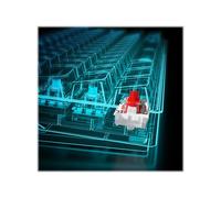 Sharkoon SGK50 S4 60% Cablato USB QWERTY LED RGB Nero 1000 4044951034635