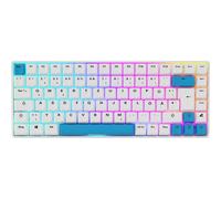 Sharkoon Tastiera Gaming Skiller SGK50 S3 PBT Tastiera 85 4044951039197