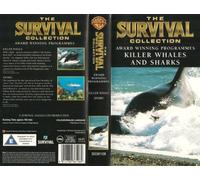 Sharks and Killer Whales