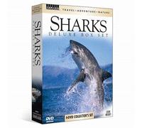 Sharks - Deluxe Box Set (4 Dvd) [Edizione: Stati Uniti]