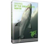 Sharks of the Great White North